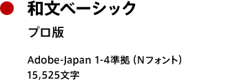 和文ベーシック プロN版